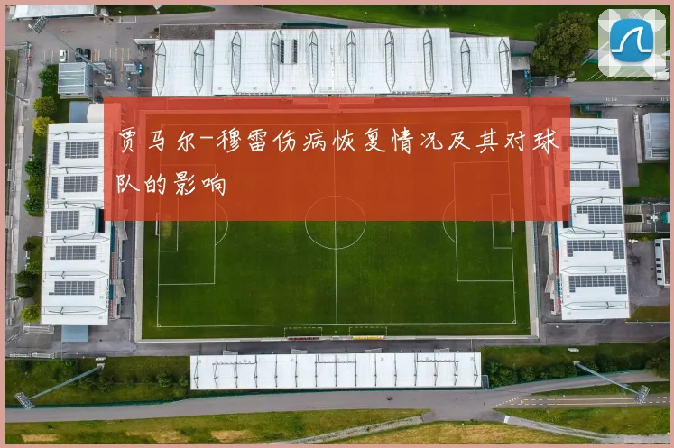 贾马尔-穆雷伤病恢复情况及其对球队的影响